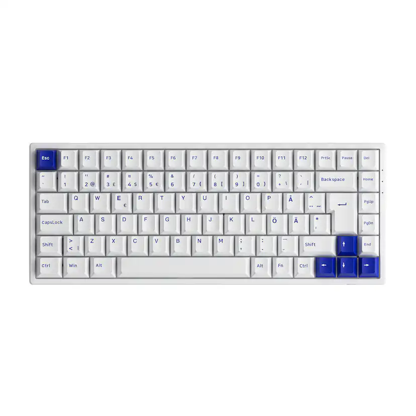 Gamingtangentbord Akkogear 3084B Plus