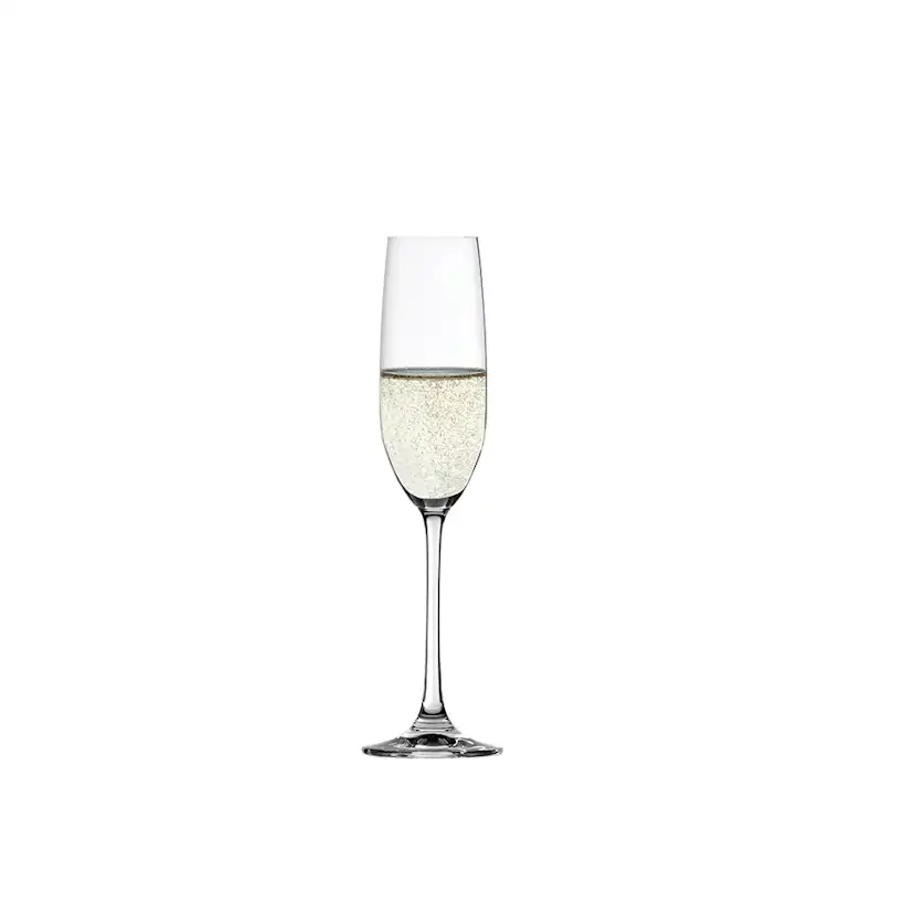 Champagneglas Spiegelau Salute 21 cl 4-pack