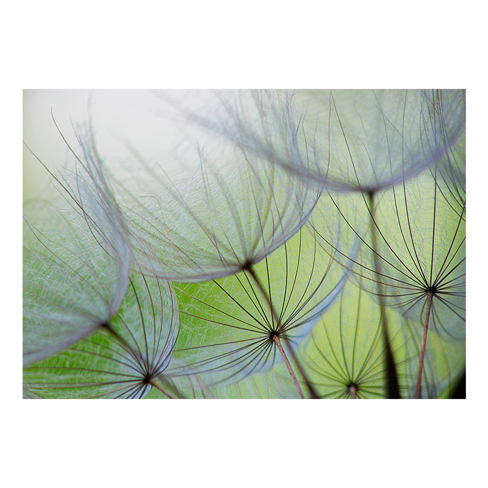 Fototapet Arkiio Fleeting Moments A3-SNEW010299-A