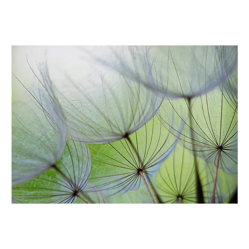 Fototapet Arkiio Fleeting moments 100x70 Storlek: 100x70 cm
