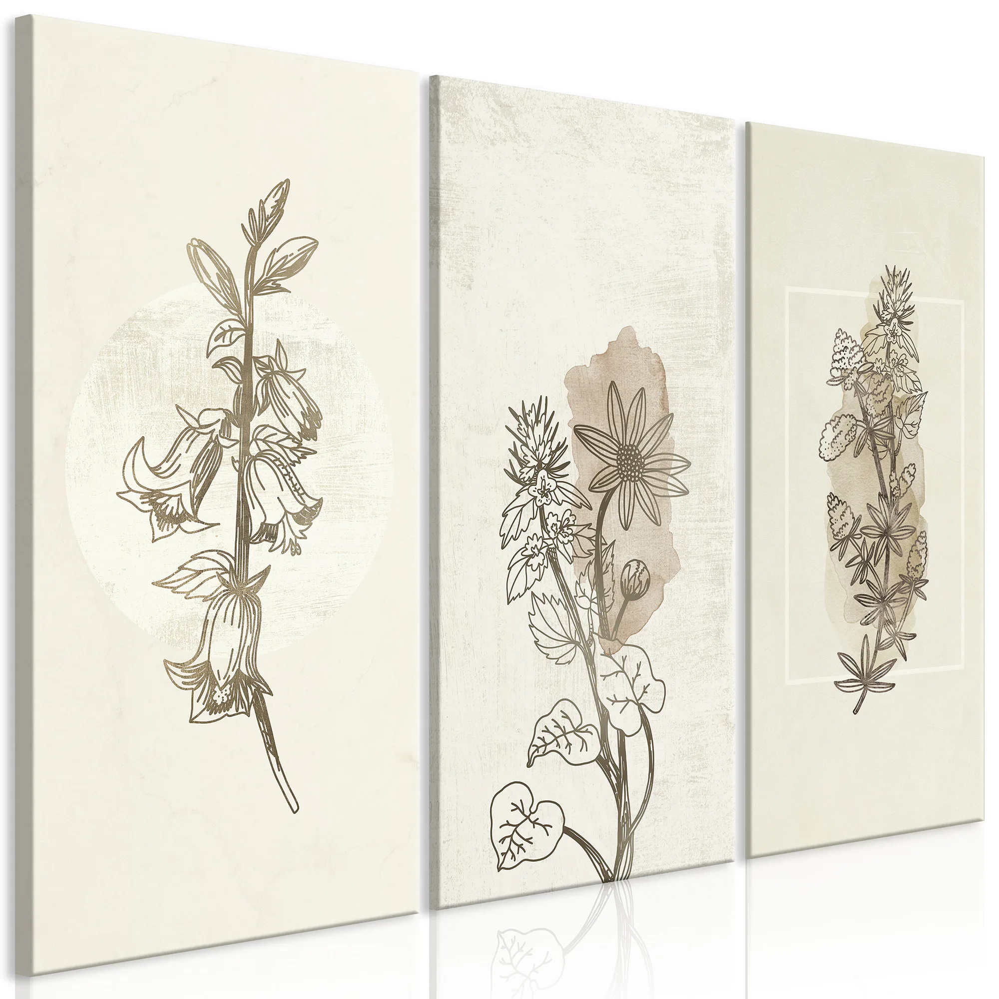 Tavla Arkiio Herbarium