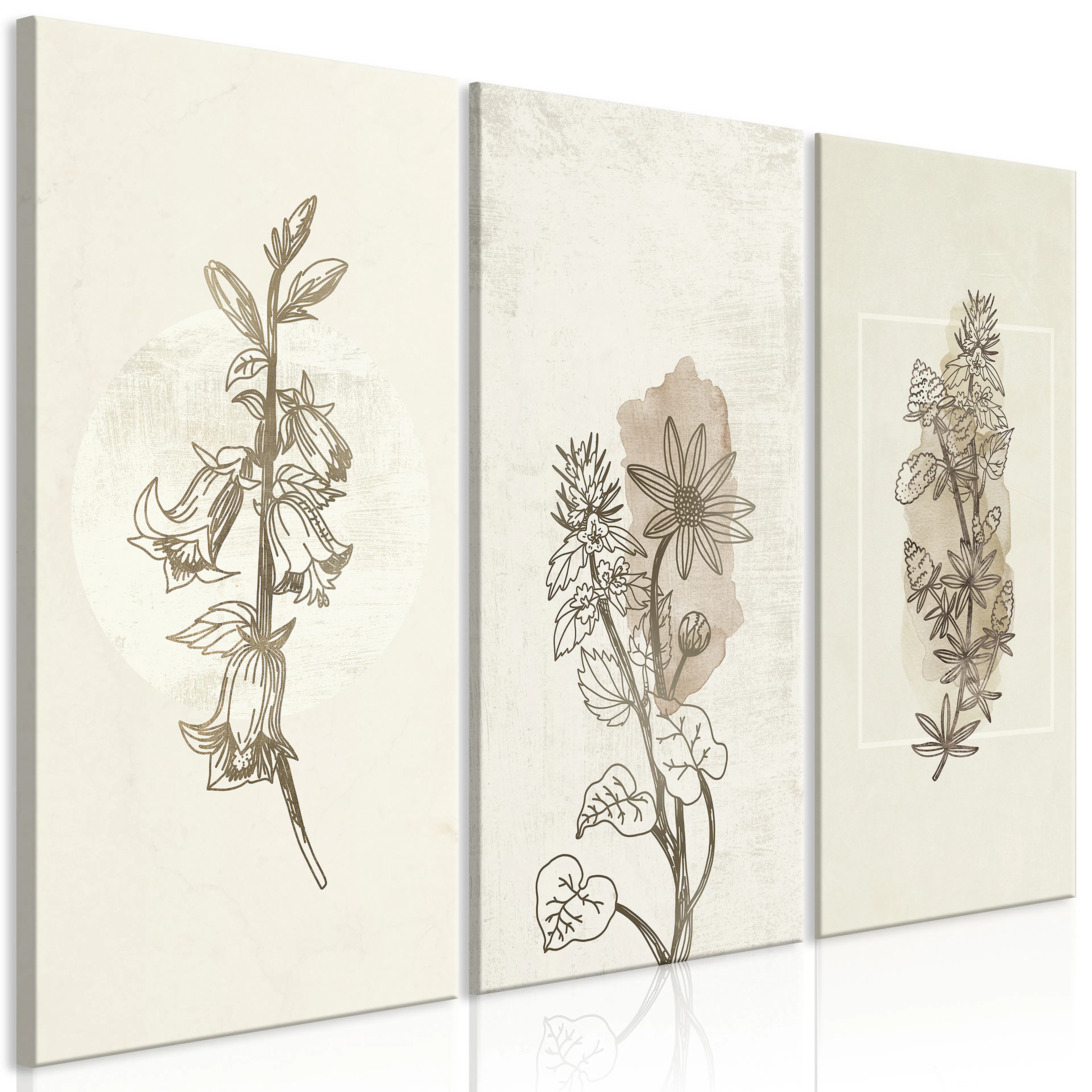 Tavla Arkiio Herbarium