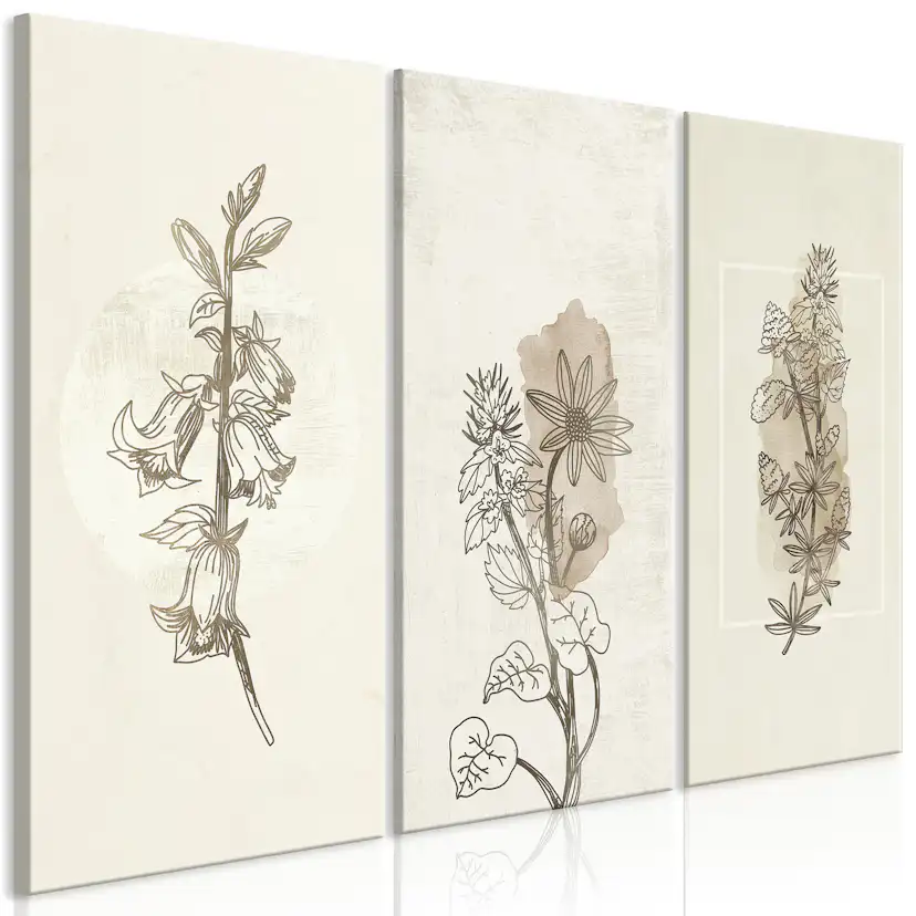Tavla Arkiio Herbarium