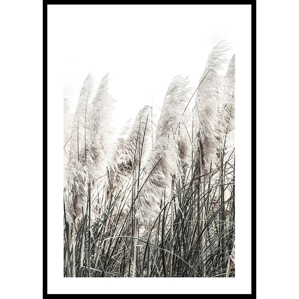Poster Gallerix Wild Grass Tall