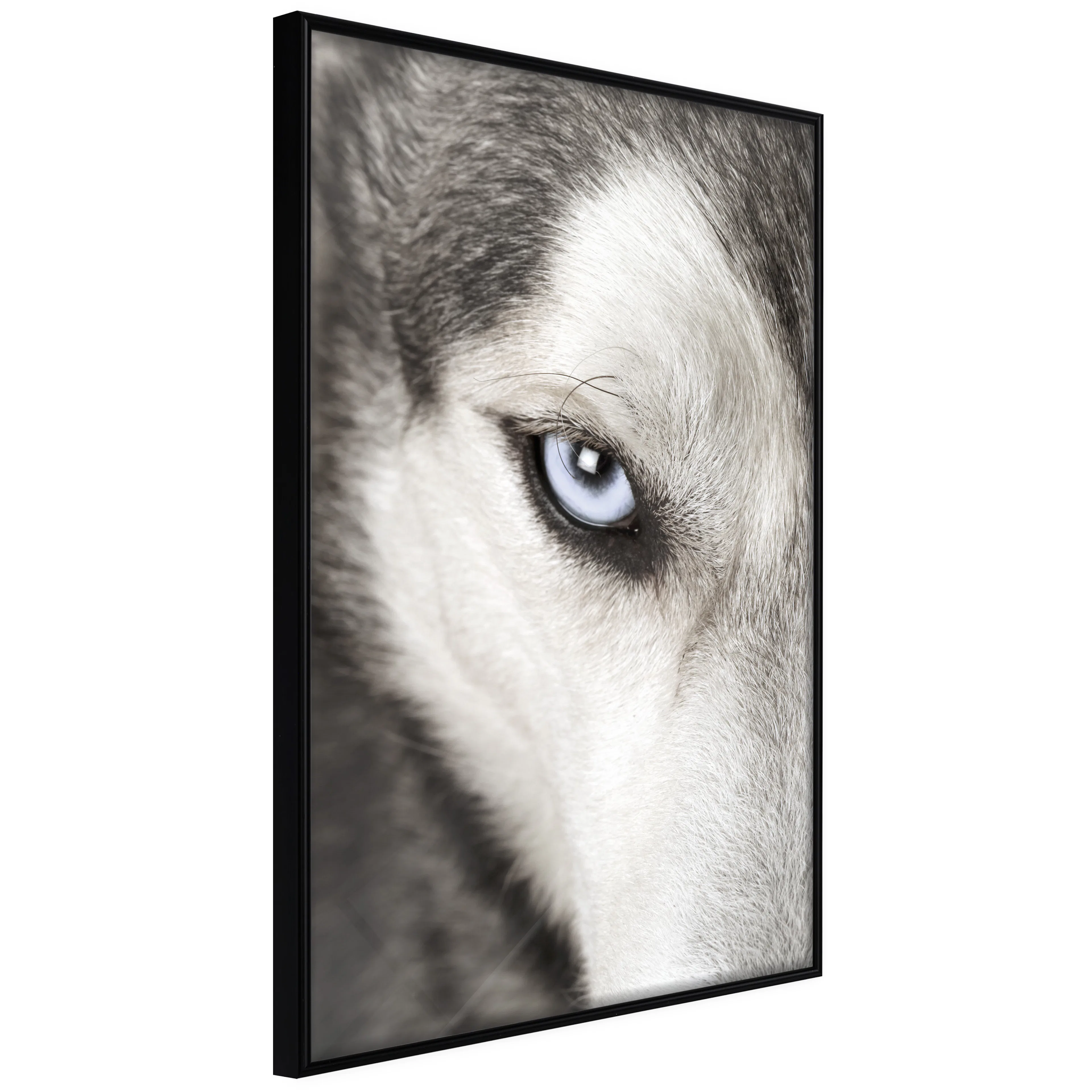 Affisch - Dog's Look [Poster] 20x30 Svart ram, 20x30 cm