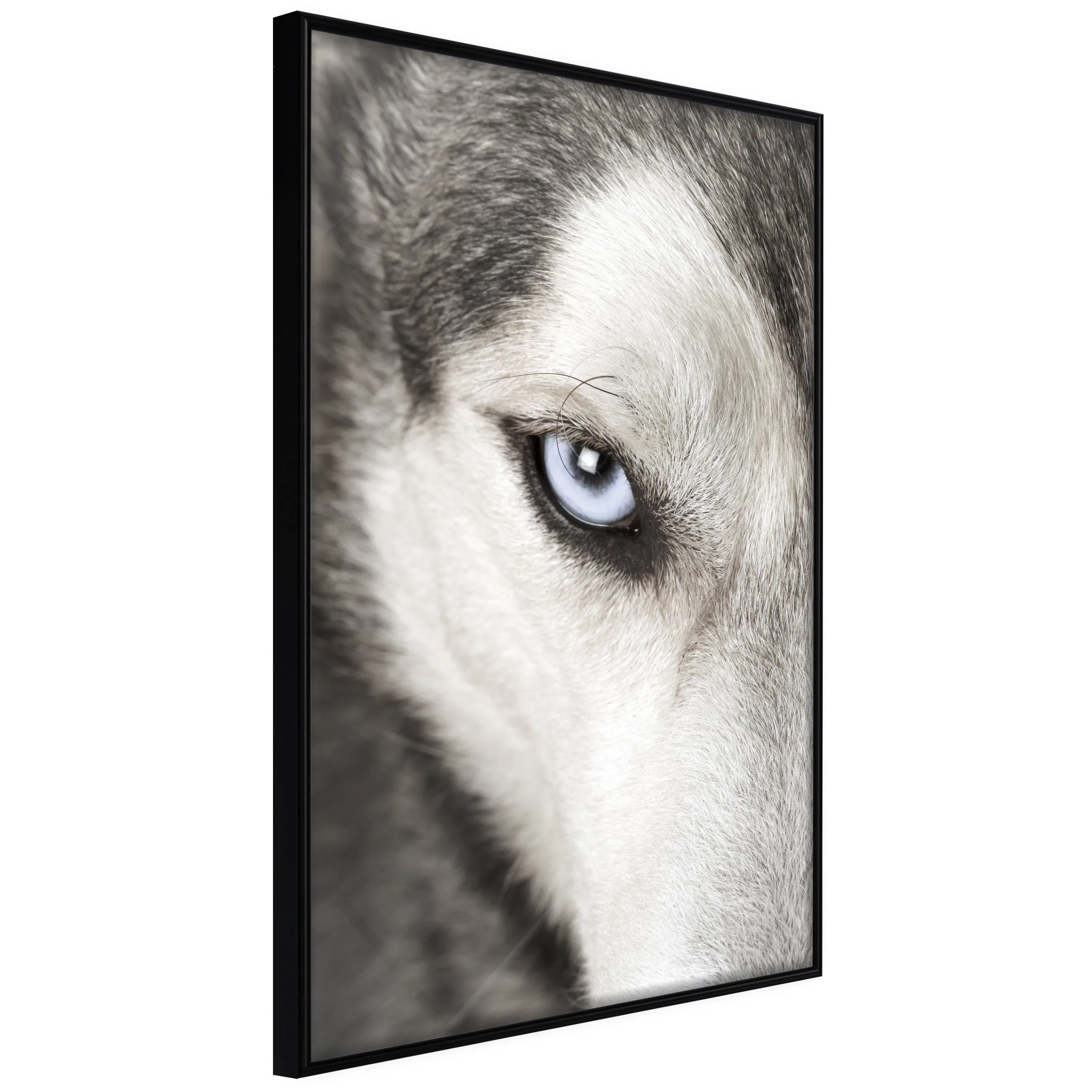 Poster Artgeist Affisch Dog's Look