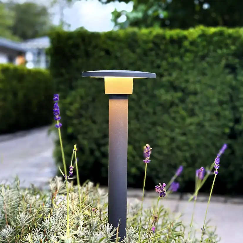 Pollare LightsOn Orbit 65