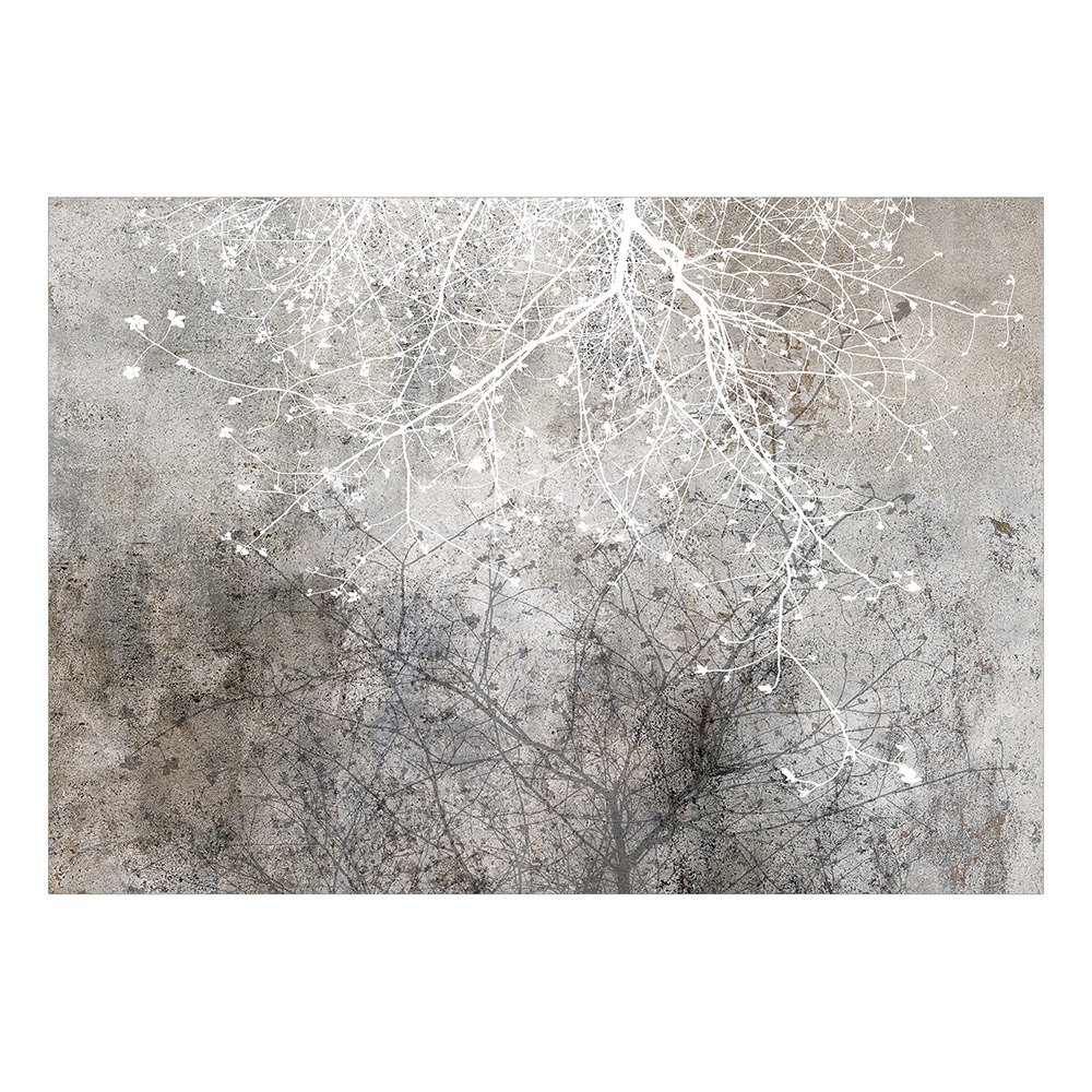 Självhäftande fototapet - Clear Branching 98x70 Storlek: 98x70 cm