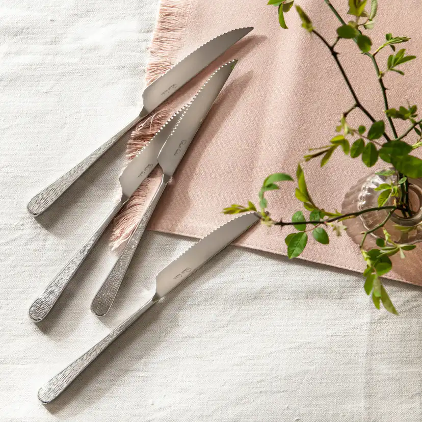 Grillkniv Robert Welch Skye Bright