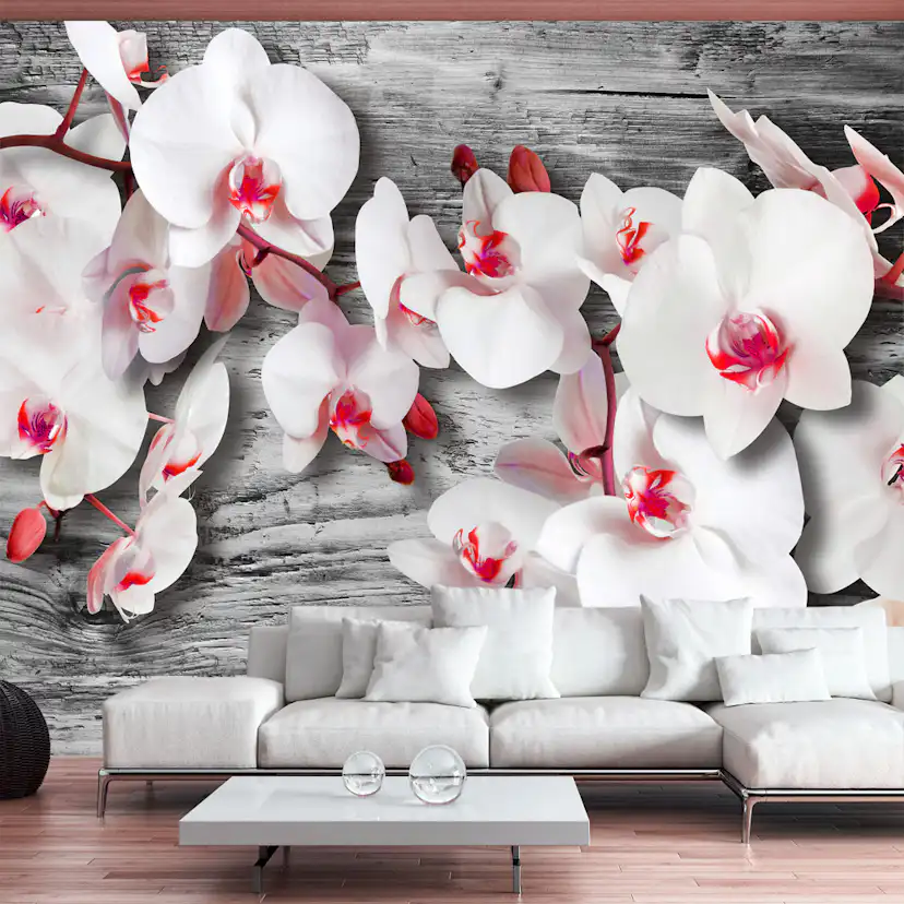 Fototapet Arkiio Callous Orchids