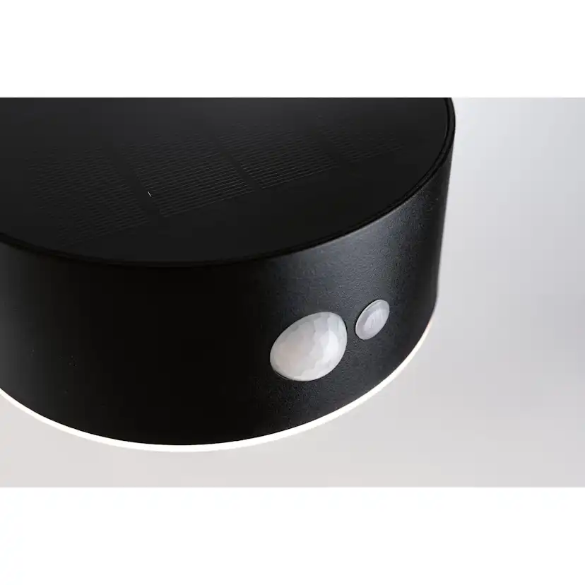 Fasadbelysning Solcell Paulmann Eileen LED med Rörelsesensor IP44 Ljus: Gold Light (insektsvänligt)