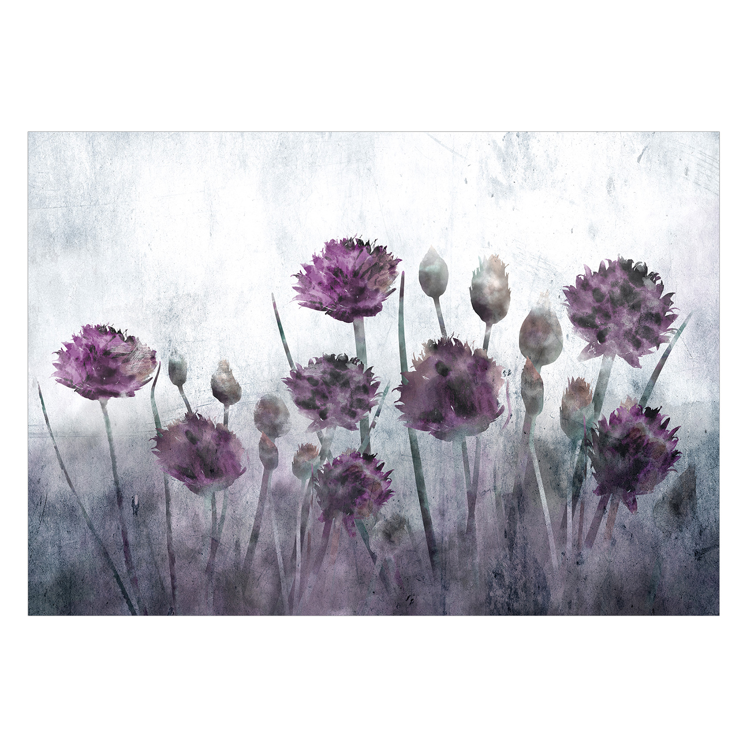 Fototapet Arkiio Wild Nature