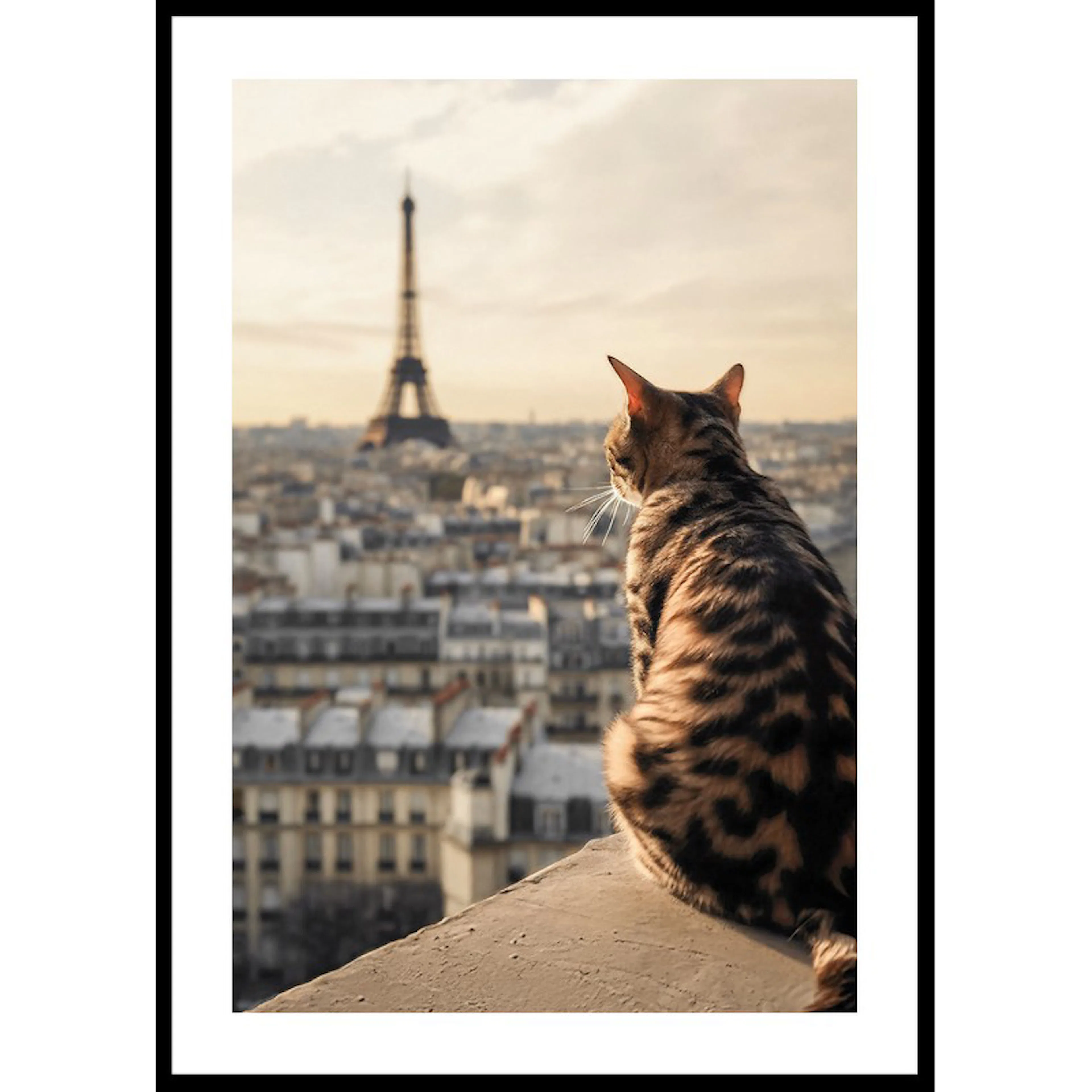 Cat In Paris 30x40 30x40 cm