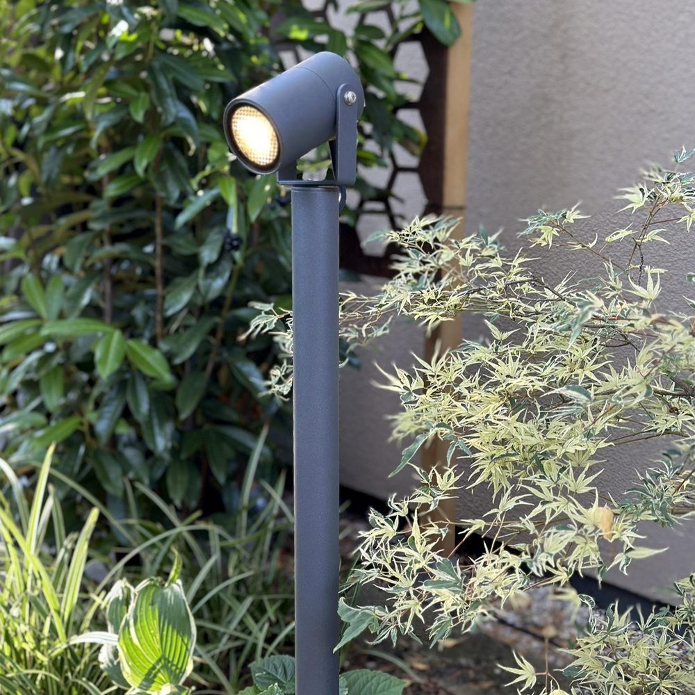 Pollare LightsOn Luna 65