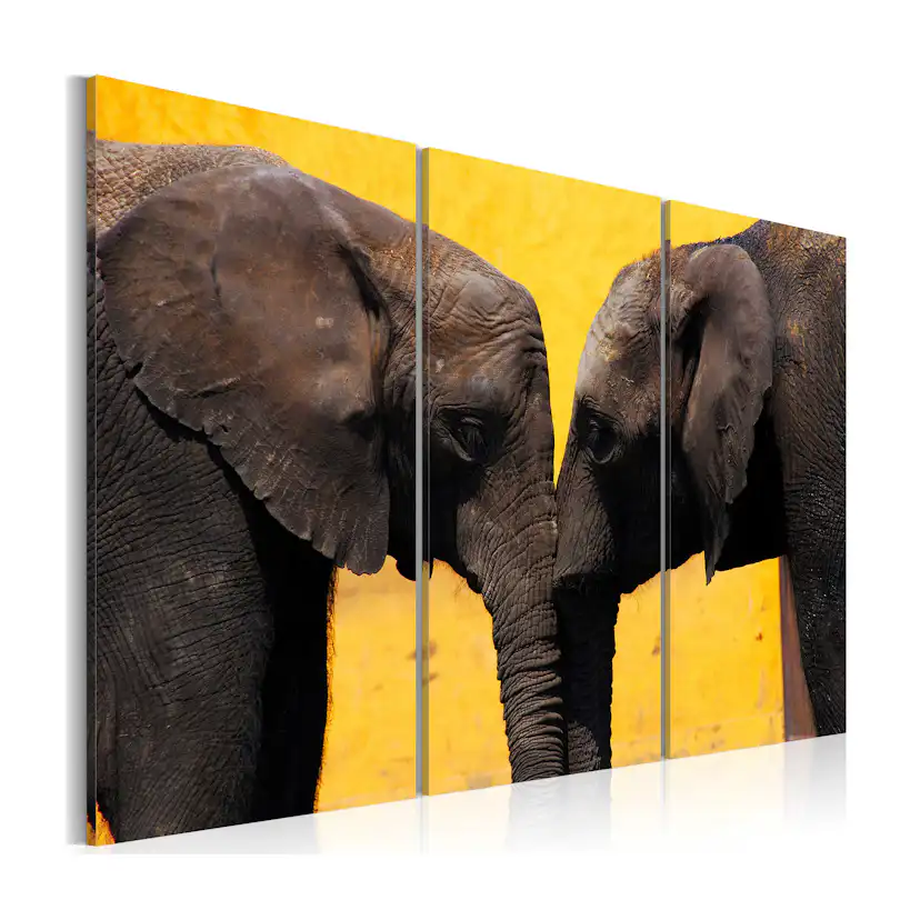 Tavla Arkiio Elephant Kiss