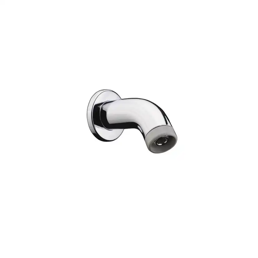 Duscharm Hansgrohe För Väggmontage 100 mm
