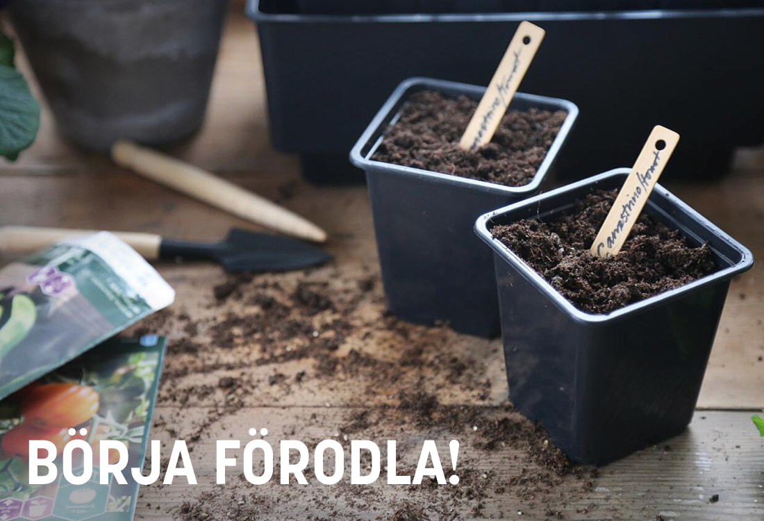 2603-kampanj-tradgårdsstart-förodla.png