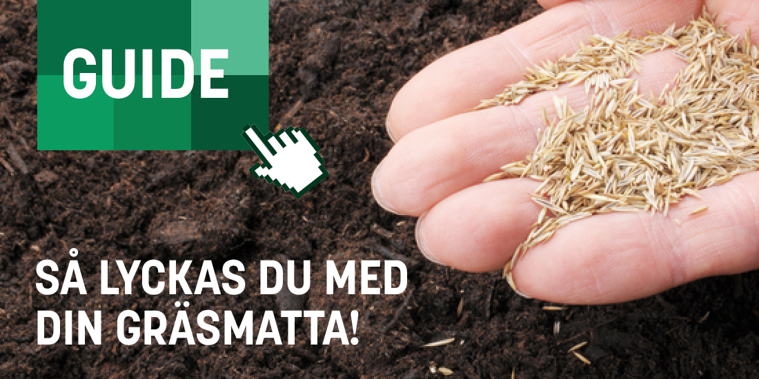 2603-kampanj-tradgårdsstart-guide-gras.png