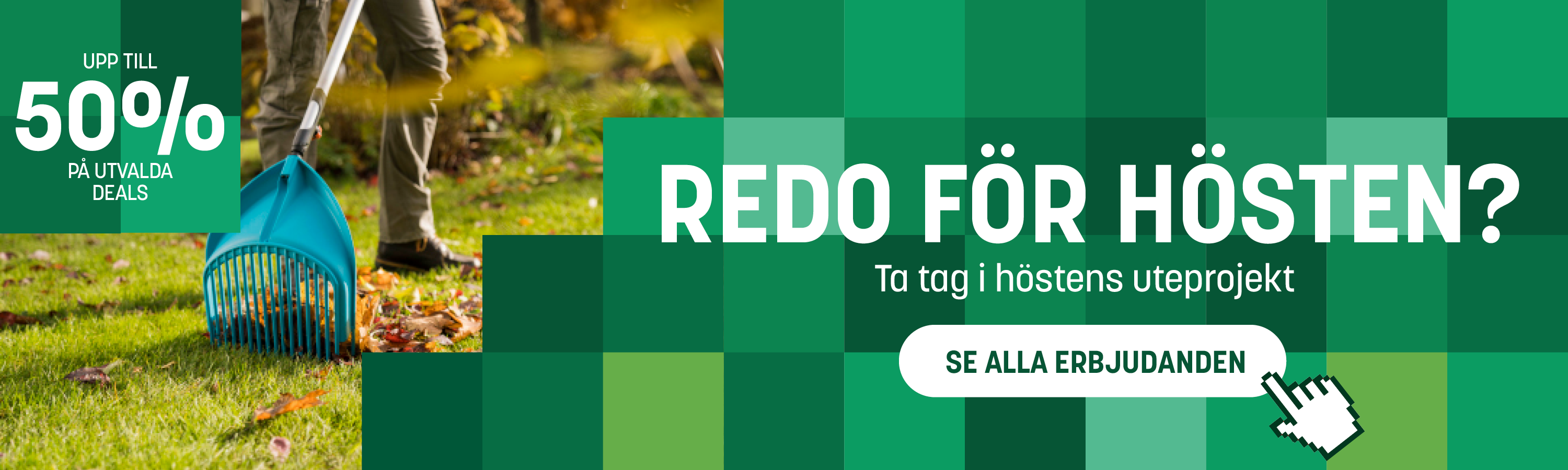 Full width image