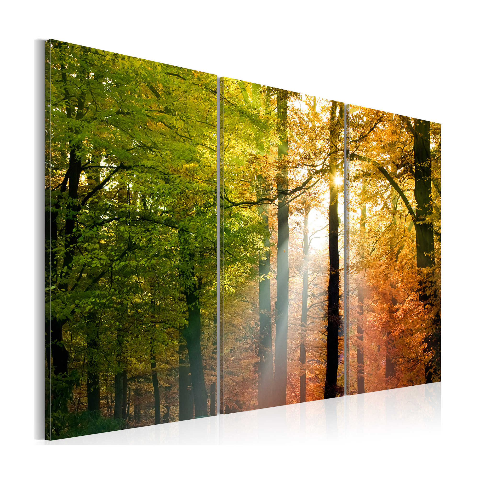 Tavla Arkiio A Calm Autumn Forest