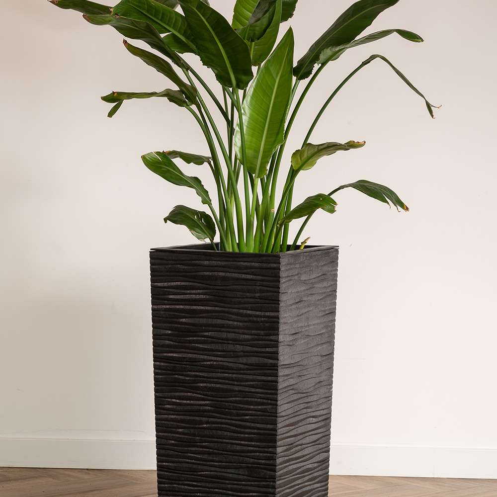 Blomkruka Recal Serenity