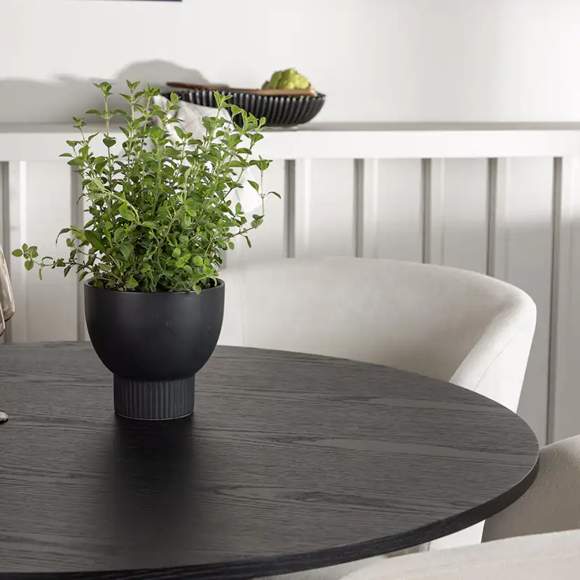 Matgrupp Venture Home Olivia Ø110 cm med 4 st Day stolar