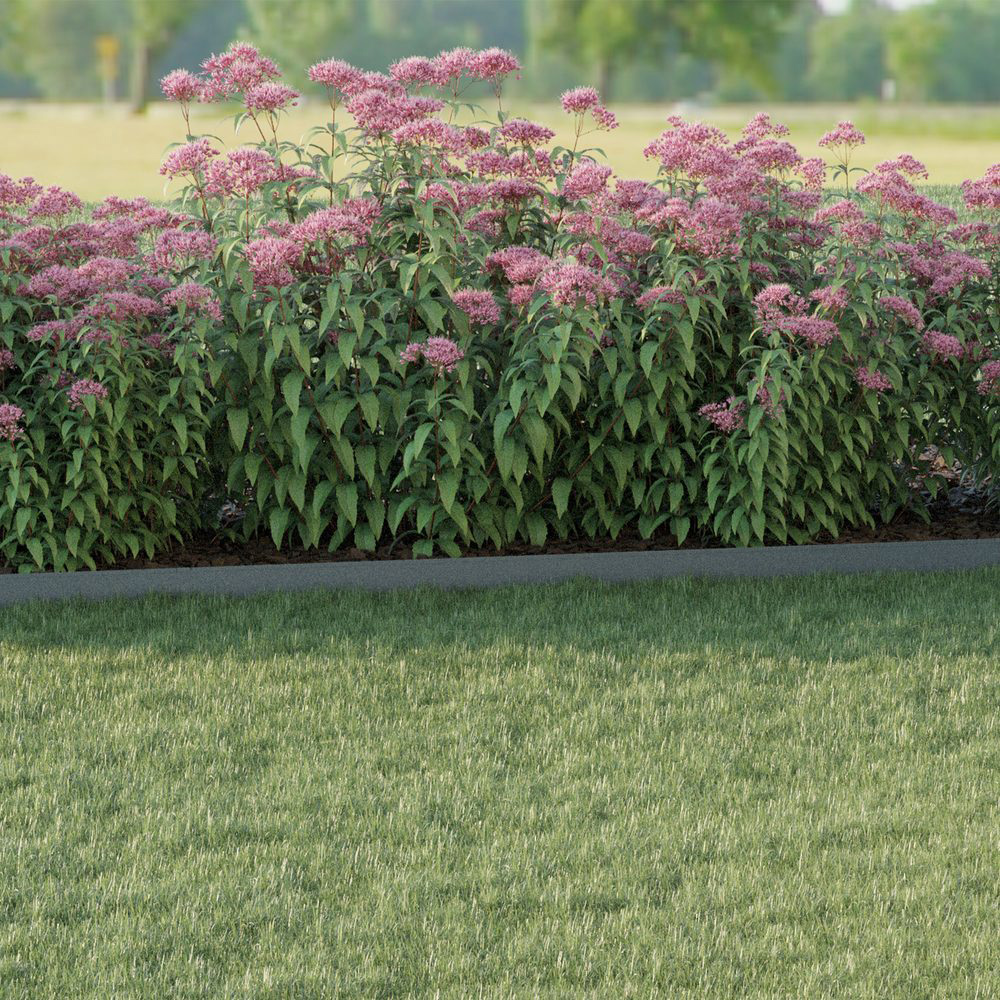 Kantskydd Skotte Garden 26x200 cm 4-pack