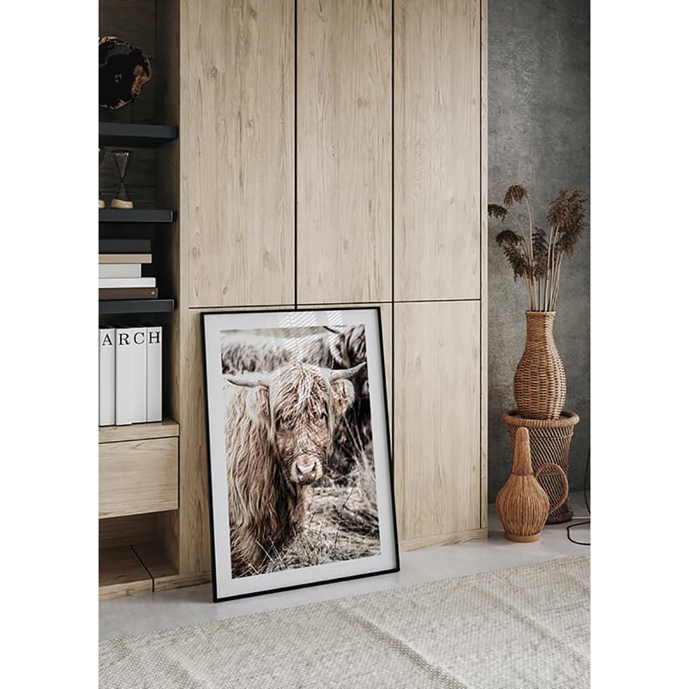 Poster Gallerix Cow Up Close