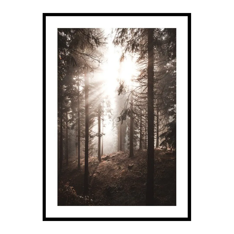 Poster Gallerix Sunbeams Through Autumnal Trees