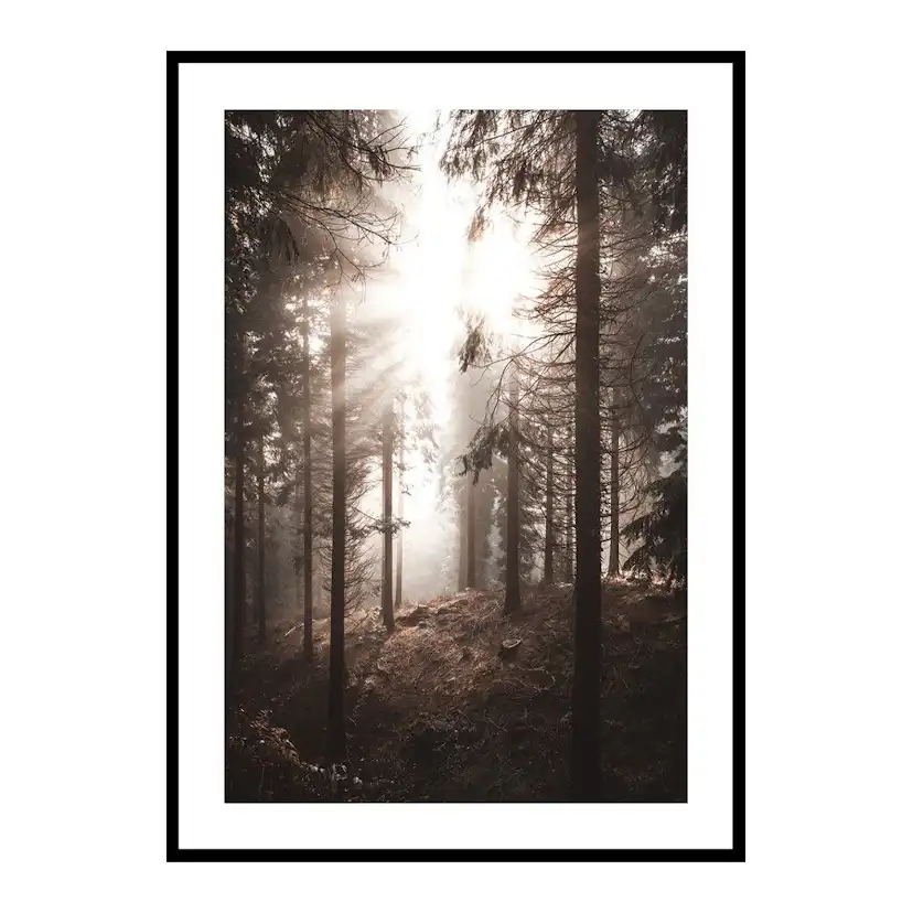 Poster Gallerix Sunbeams Through Autumnal Trees