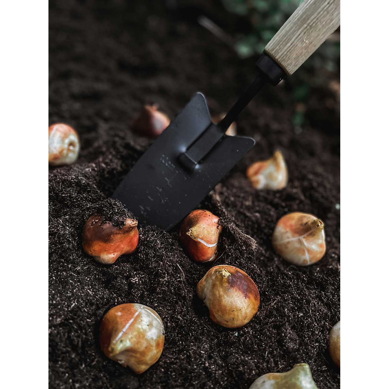 Trädgårdsspade by Benson