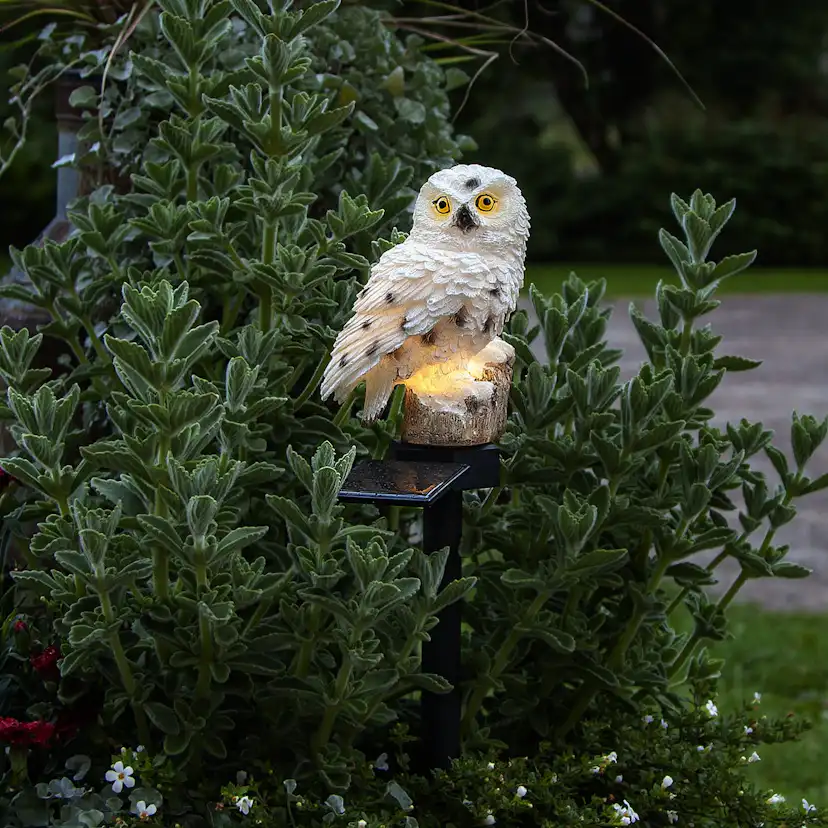 Solcellsdekoration Star Trading Owl LED Solcellslampa