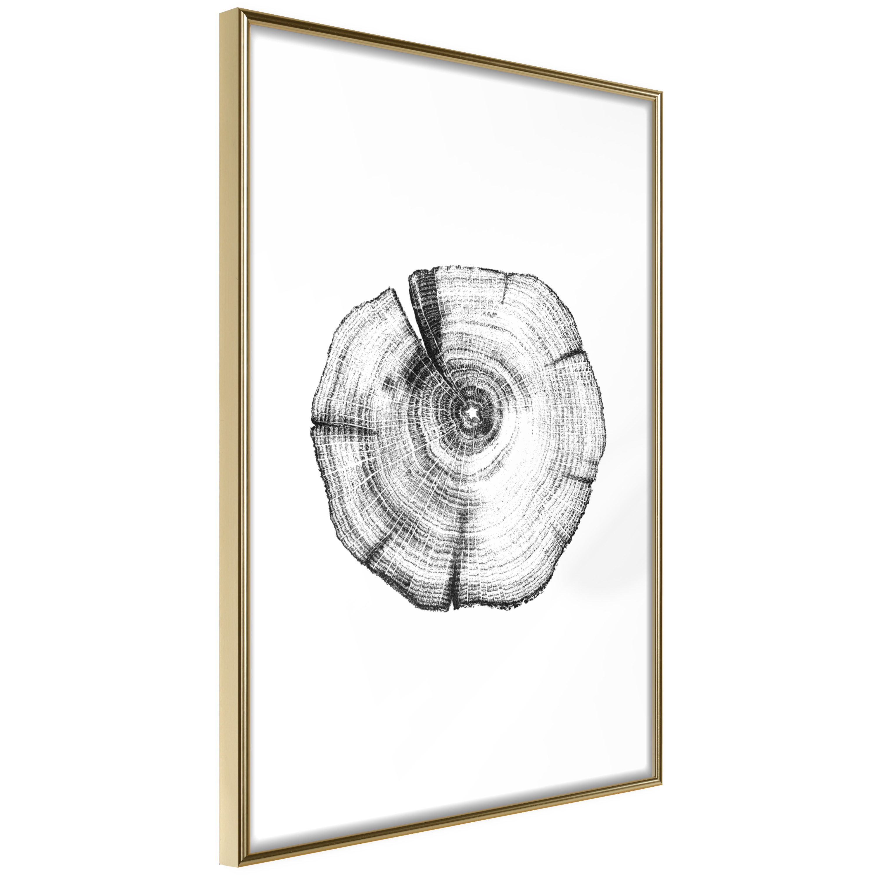 Poster Artgeist Affisch Wood Slice
