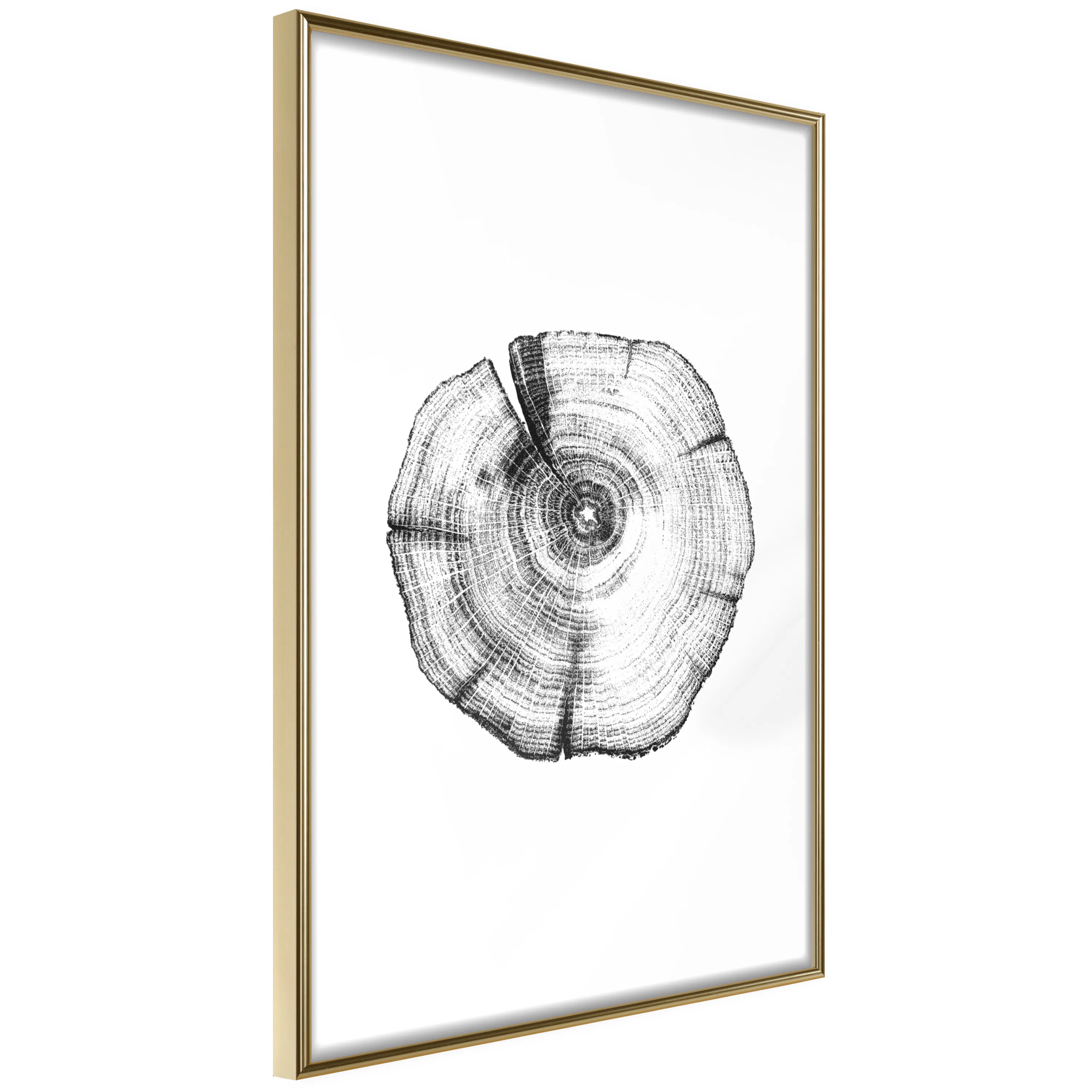 Poster Artgeist Affisch Wood Slice