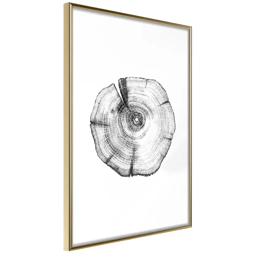 Poster Artgeist Affisch Wood Slice