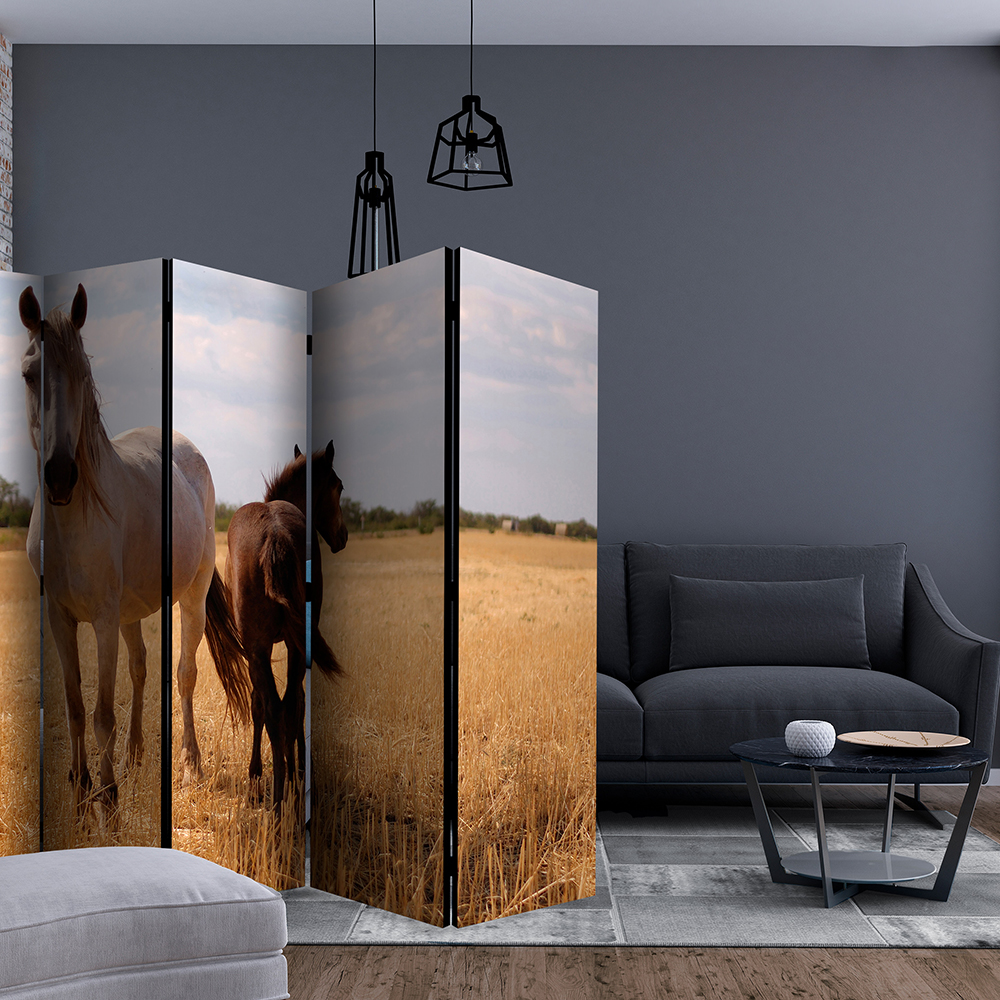 Rumsavdelare Skärmvägg Arkiio Horse And Foal II 225x172 cm