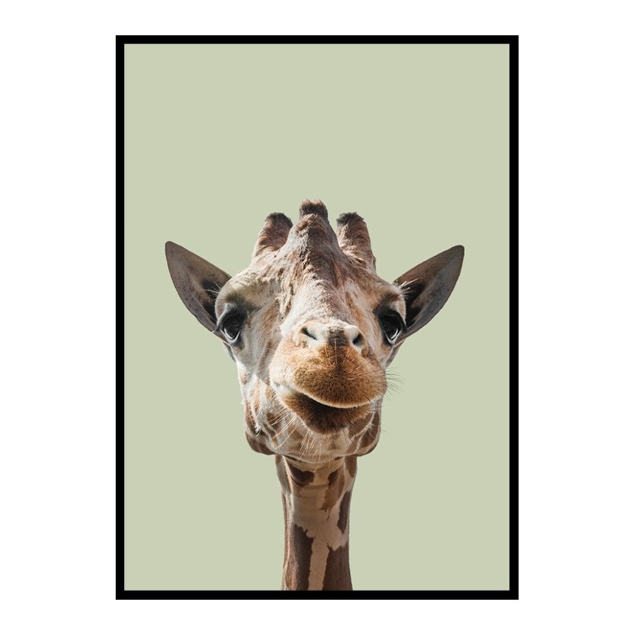 Poster Gallerix Smiling Giraffe