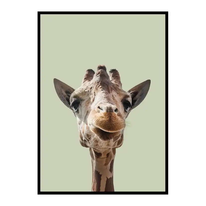 Poster Gallerix Smiling Giraffe