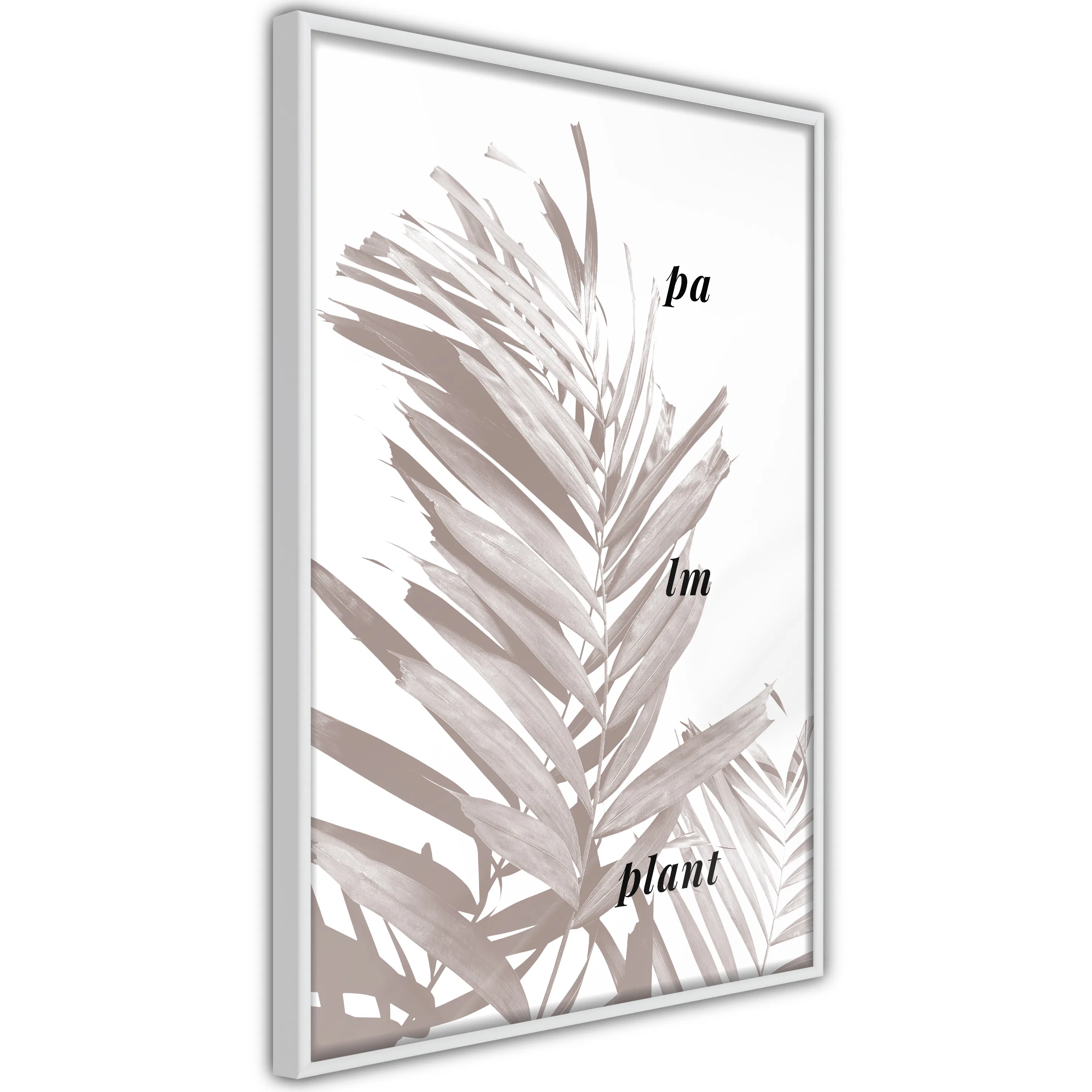 Poster Artgeist Affisch Palm Plant