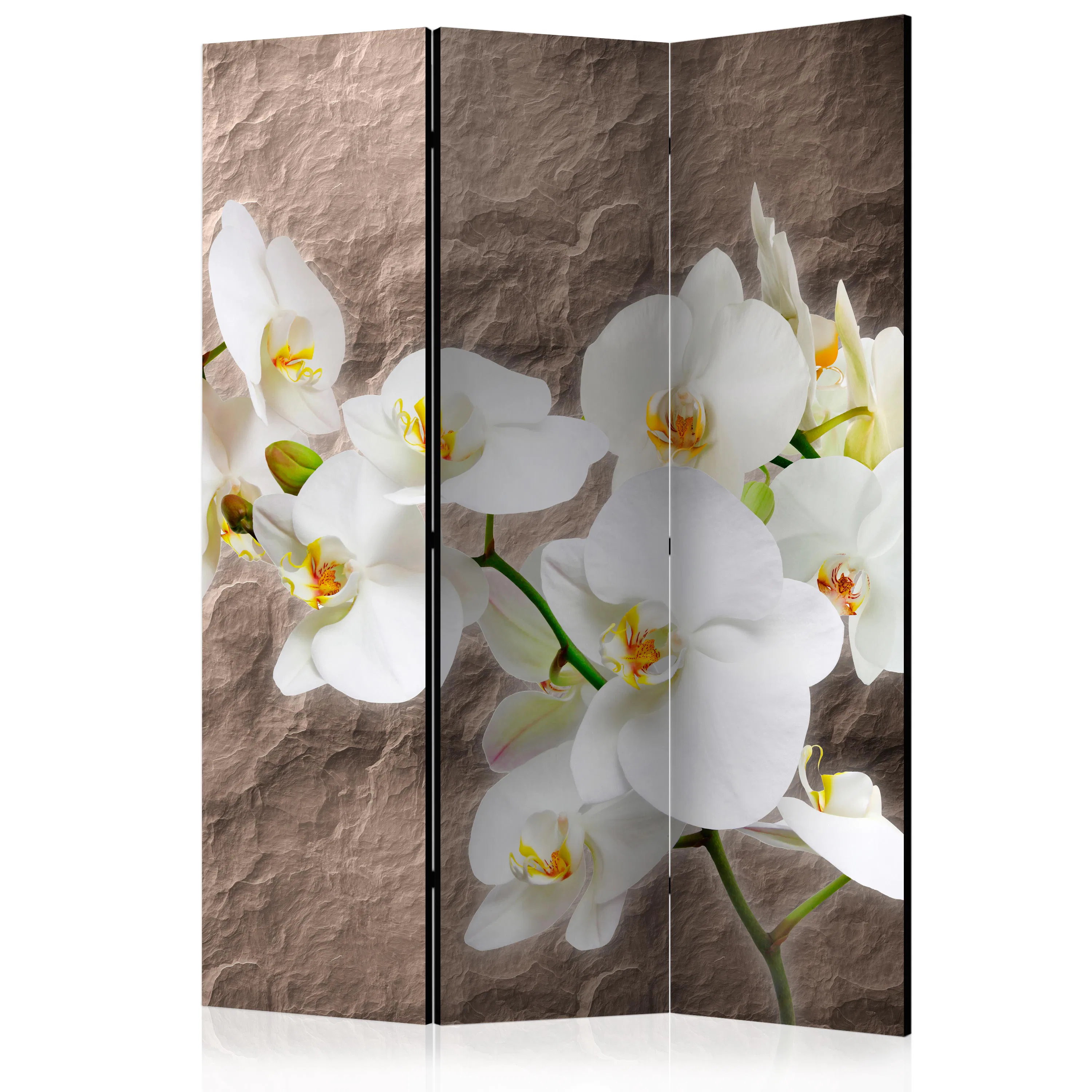 Rumsavdelare Skärmvägg Arkiio Impeccability Of The Orchid 135x172 cm