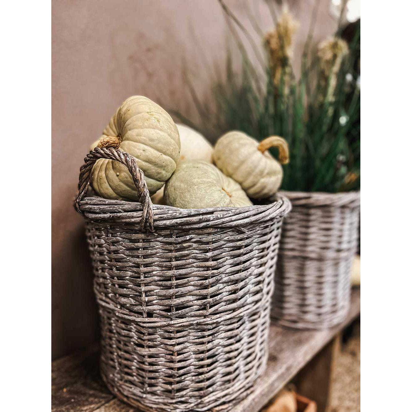 Korg by Benson till Kungsgran i Kruka