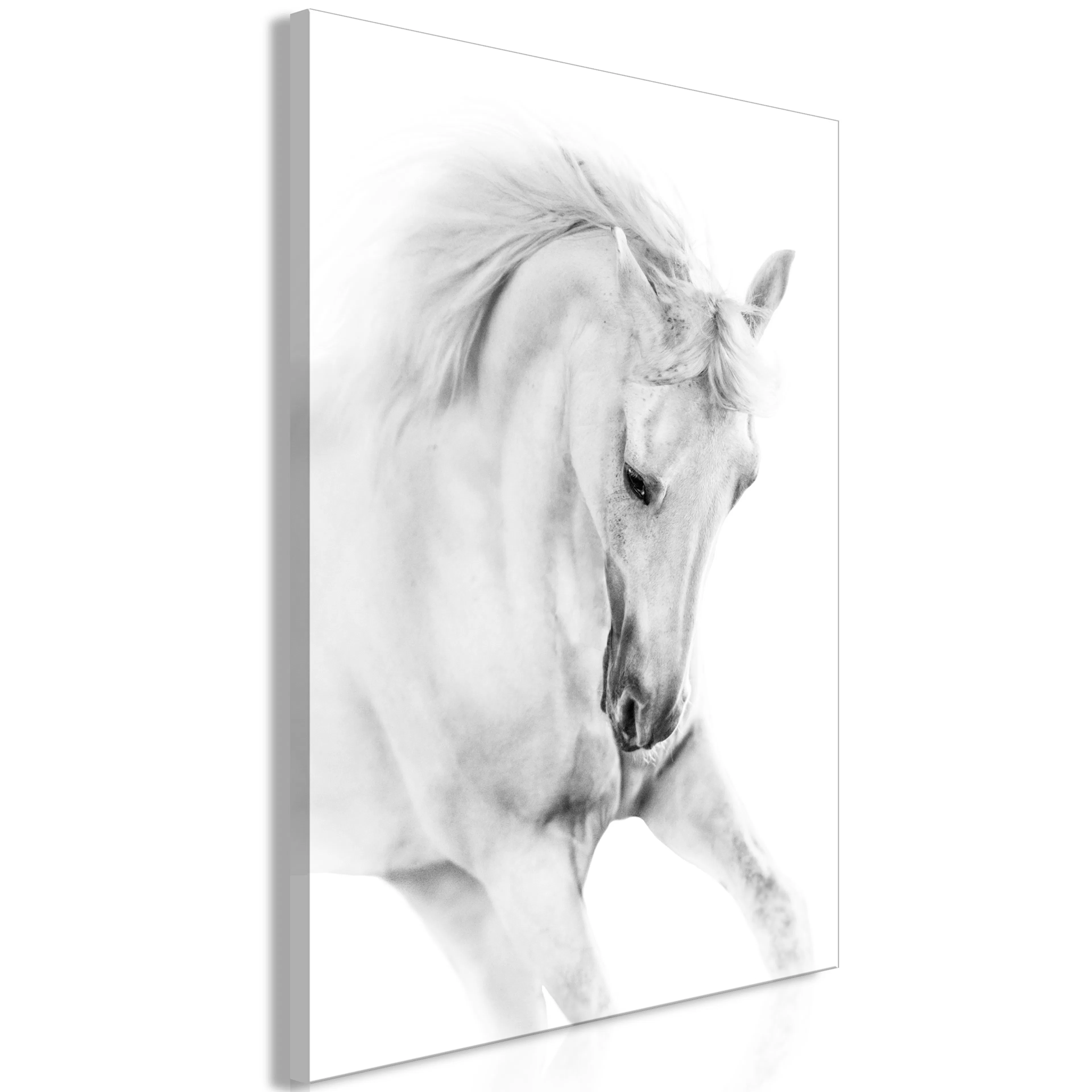 Tavla Arkiio White Horse