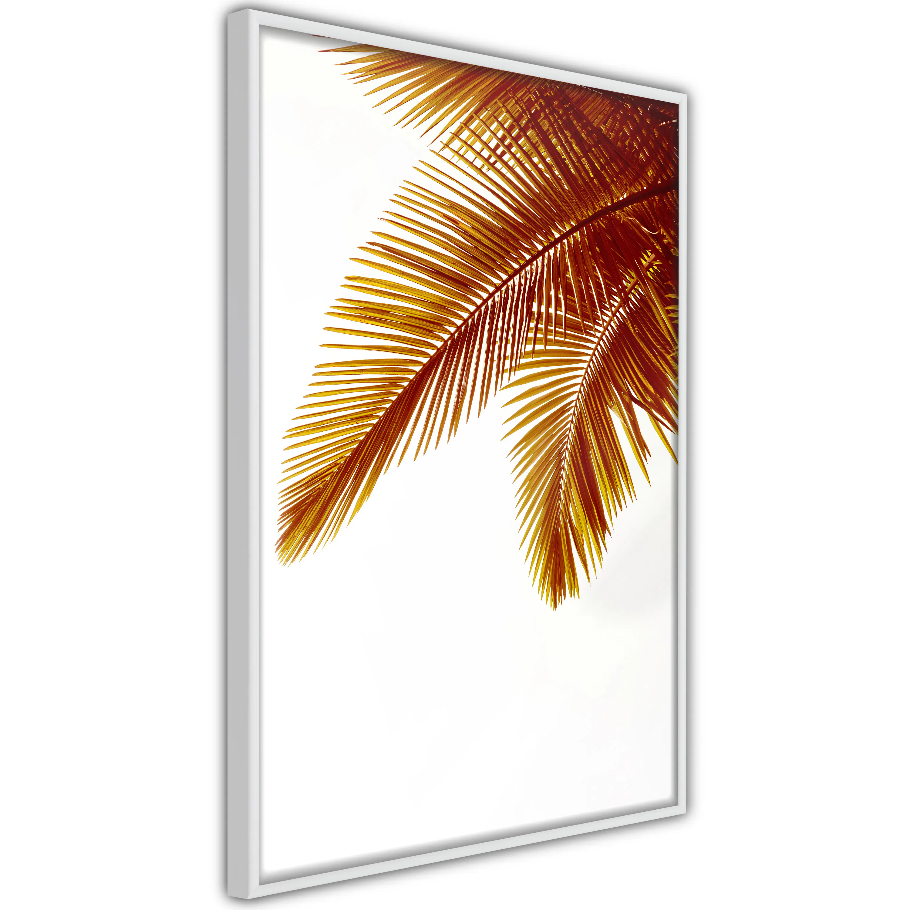 Poster Artgeist Affisch Goldilocks