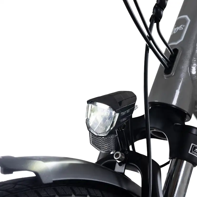Elcykel Lyfco Dam 28" - Elise 14 Ah Silver