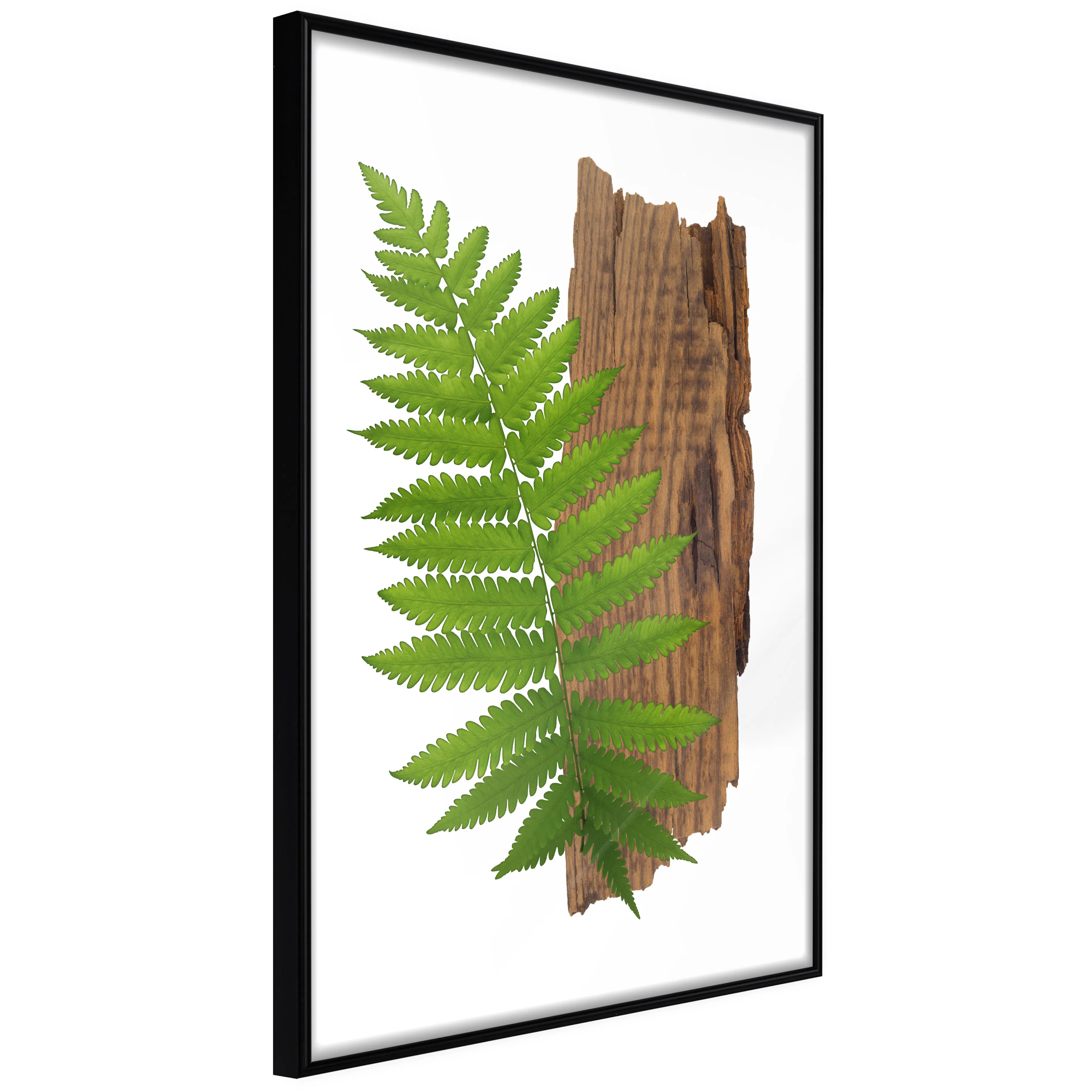 Affisch - Firmness of Nature [Poster] 20x30 Svart ram, 20x30 cm