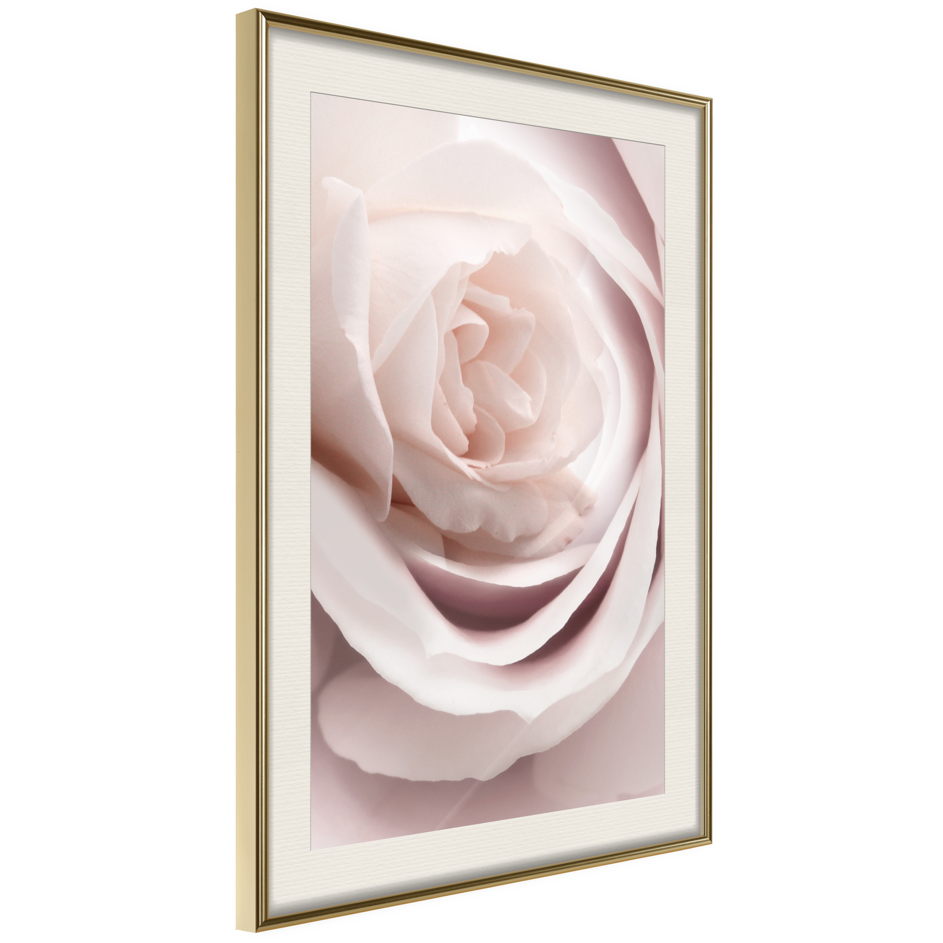 Poster Artgeist Affisch Porcelain Rose