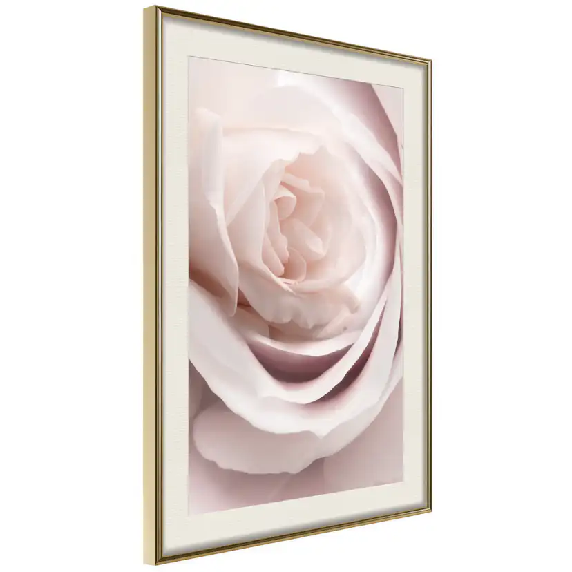 Poster Artgeist Affisch Porcelain Rose