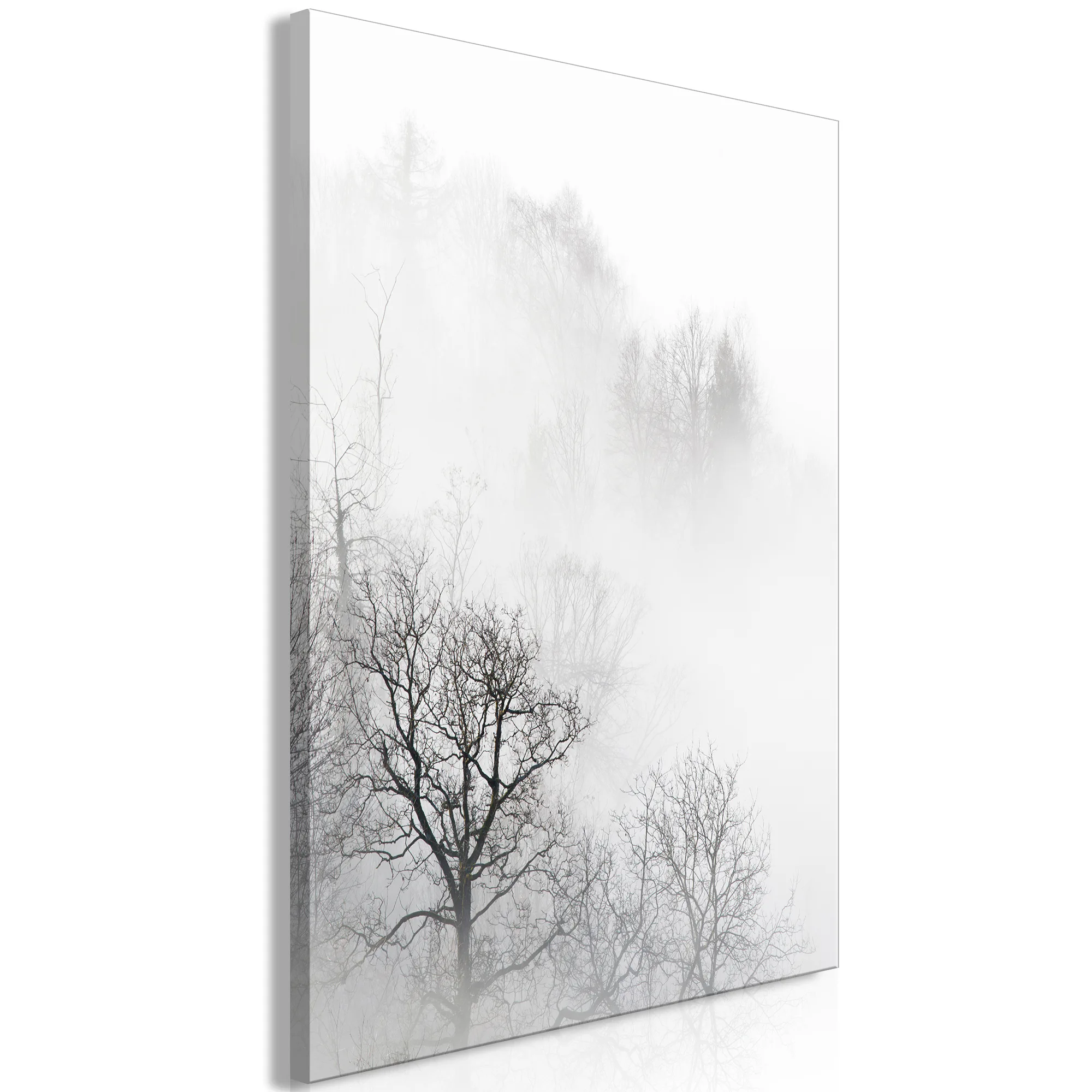 Tavla Arkiio Trees In The Fog