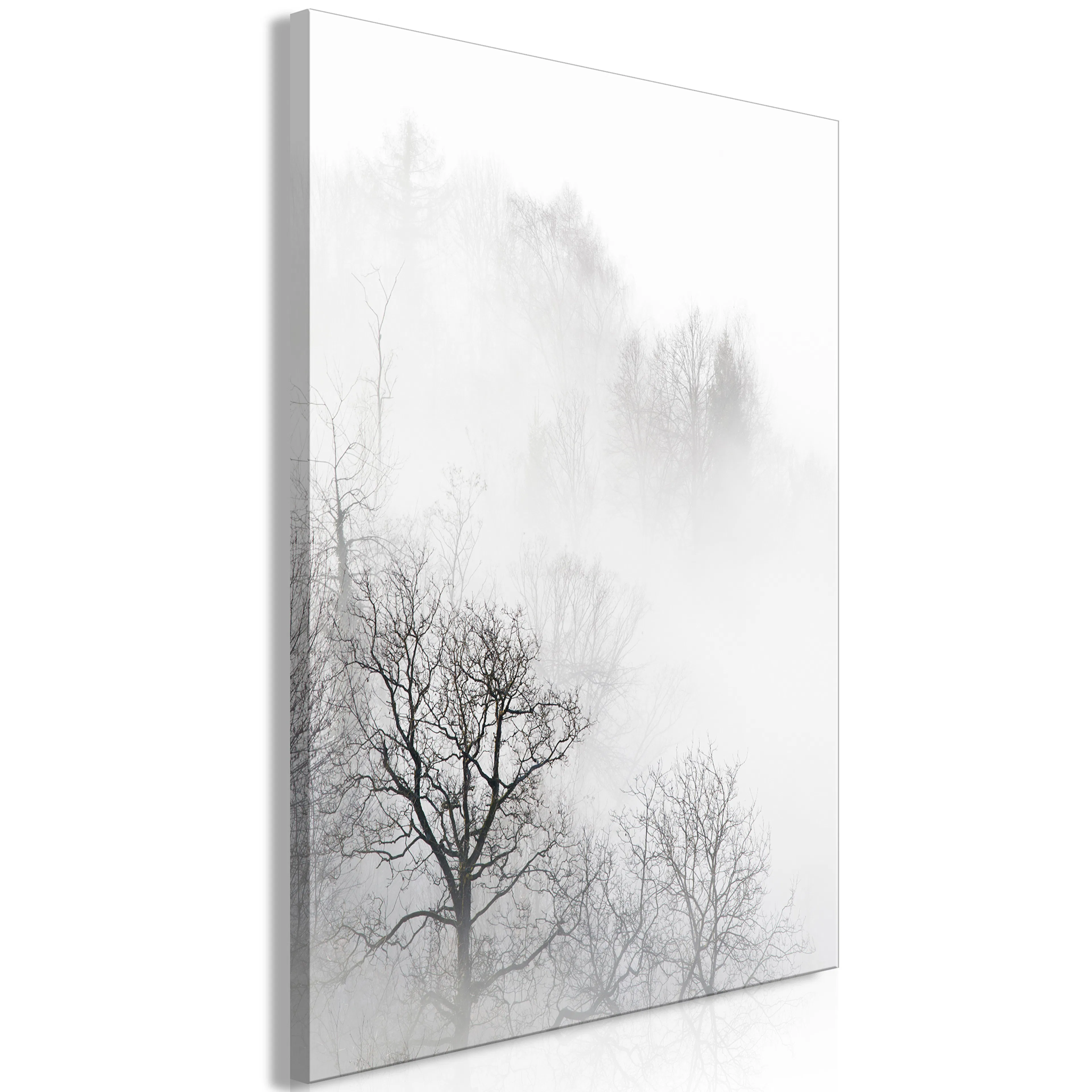 Tavla Arkiio Trees In The Fog