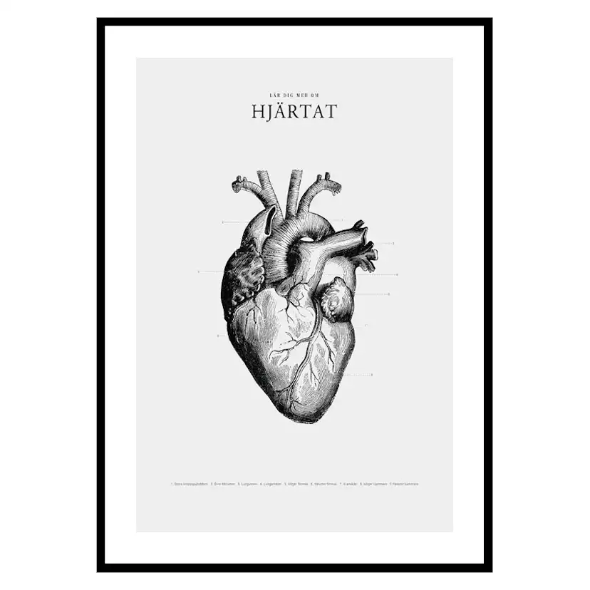 Poster Gallerix Hjärtat
